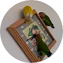 val kra profile picture